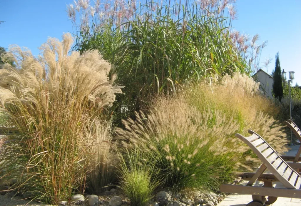Val De Cher Jardin Services Paysagiste A Saint Avertin Creation Despaces Verts 2