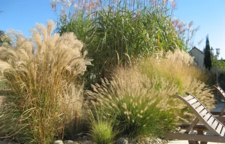 Val De Cher Jardin Services Paysagiste A Saint Avertin Creation Despaces Verts 2