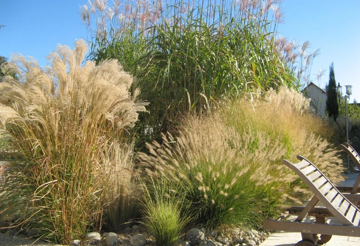 Val De Cher Jardin Services Paysagiste A Saint Avertin Creation Despaces Verts 2