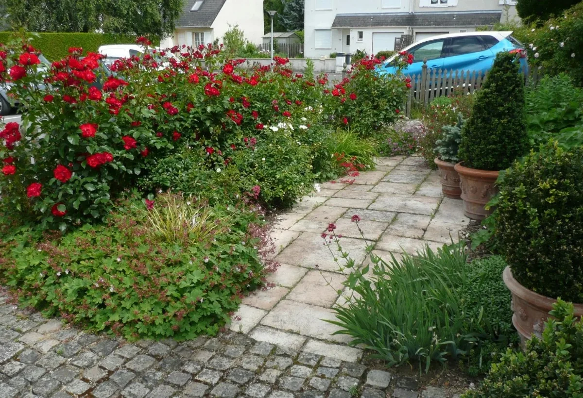 Val De Cher Jardin Services Paysagiste A Saint Avertin Creation Despaces Verts 3