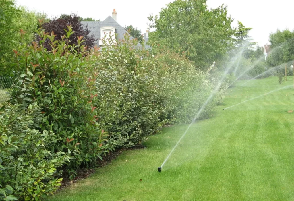 Val De Cher Jardin Services Paysagiste A Saint Avertin Creation Despaces Verts 5