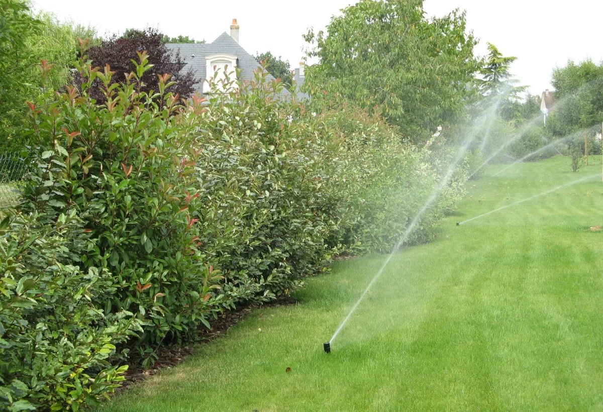 Val De Cher Jardin Services Paysagiste A Saint Avertin Creation Despaces Verts 5
