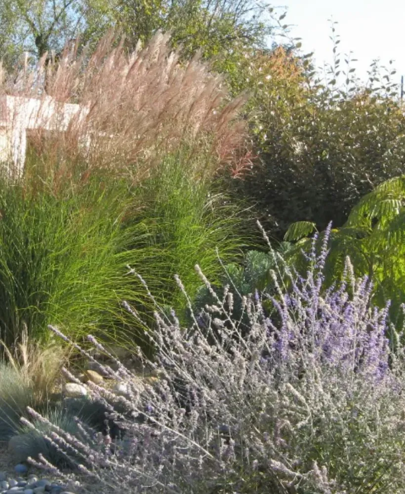 Val De Cher Jardin Services Paysagiste A Saint Avertin Creation De Jardins