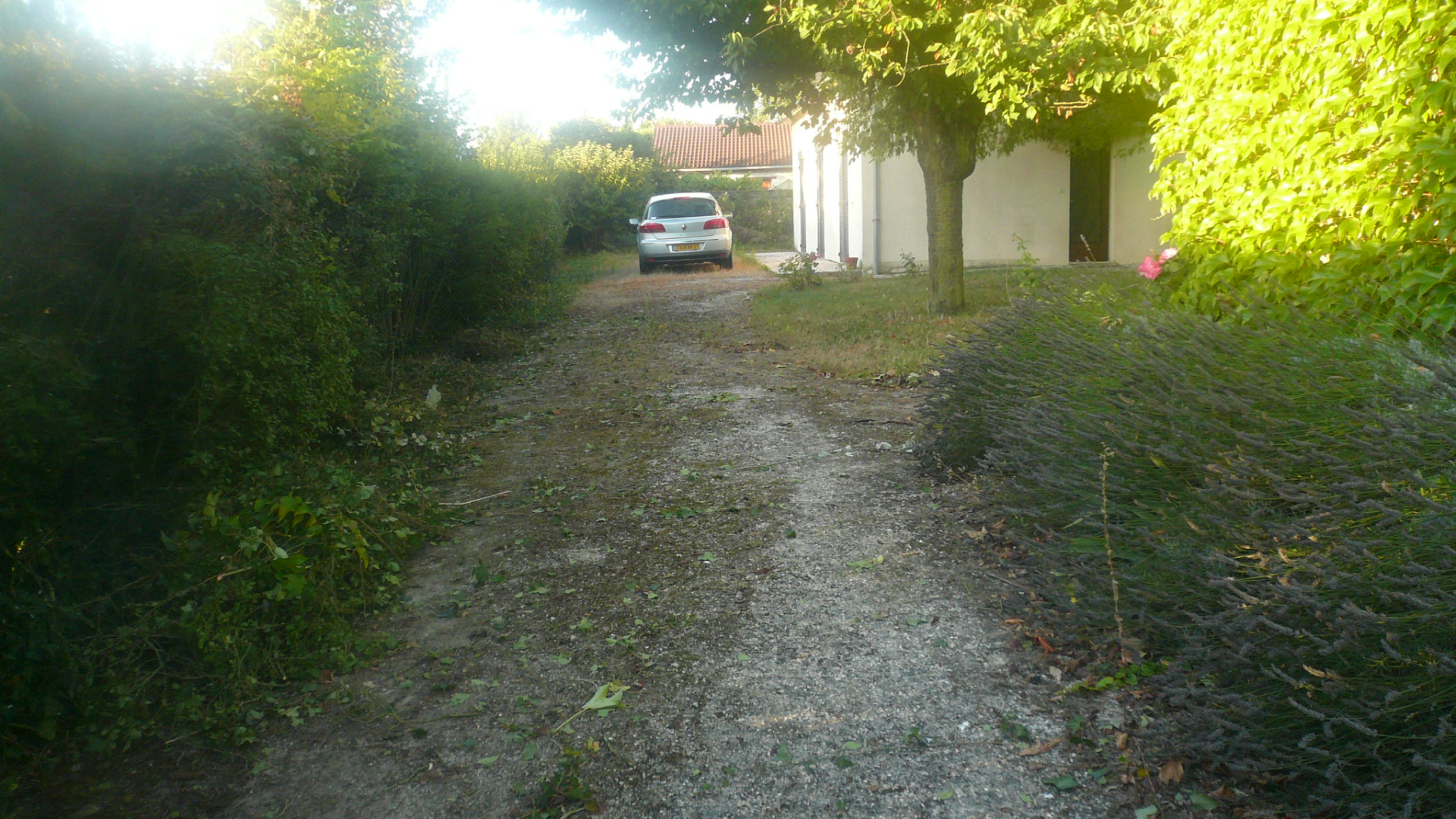 Bruno Reboussin Paysagiste Paysagiste A Saint Avertin Avant 6