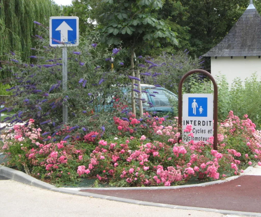 Bruno Reboussin Paysagiste Paysagiste A Saint Avertin Brunoreboussin Paysagiste Entretien Espaces Vert 2